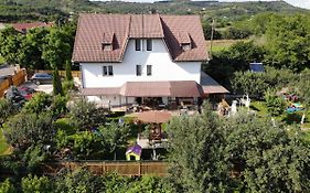 Podgoria Guesthouse- Camere De Inchiriat